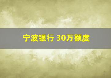 宁波银行 30万额度